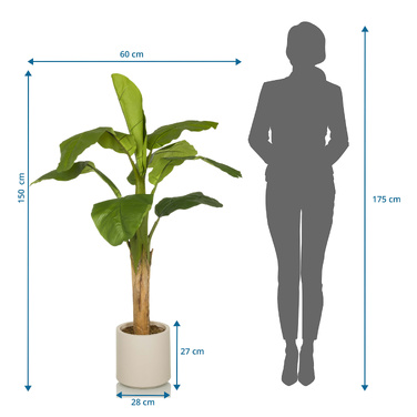 Штучний банан (декоративне дерево) BANANE I, 150 см, зелений, серія OFFICE