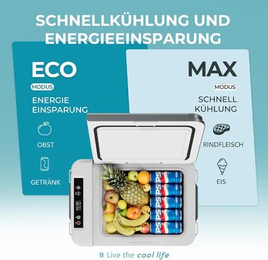 EUHOMY компресорний холодильник 10L (-20℃~20℃) 12/24V DC & 230V AC з Bluetooth, швидке охолодження 15 хв, для кемпінгу та подорожей