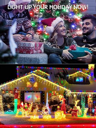 Світлодіодна гірлянда для вулиці 30м, 300 LED вогників для новорічного та різдвяного декору (Теплий білий/Кольорова)