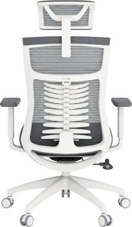 Крісло офісне OfficePro Balance OC550-W-DG-DG