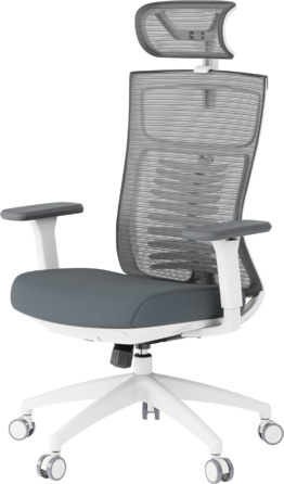 Крісло офісне OfficePro Balance OC550-W-DG-DG
