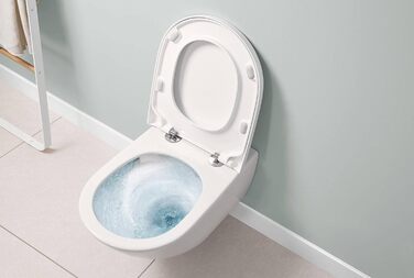 Сидіння для унітазу Villeroy & Boch Subway 3.0, дюропласт, з мікроліфтом, знімне, овальне, біле, глянцеве, оригінальна заміна