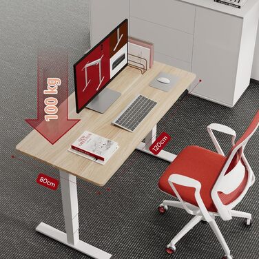Регульований по висоті письмовий стіл SANODESK 120×80 см, електричний стіл для роботи стоячи та сидячи, два двигуни, USB-порт, пам'ять позицій та захист від зіткнень (Сірий/Чорний)
