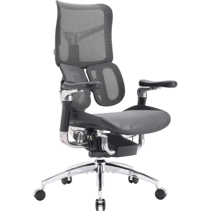 Крісло офісне Sihoo DORO S300 Mesh Dark Grey