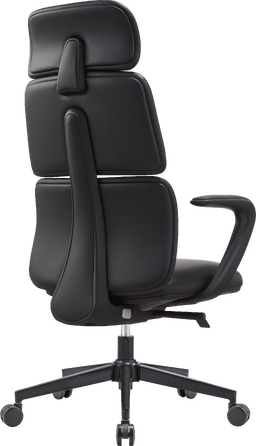 Крісло офісне OfficePro Delicate OC690BK Black PVC
