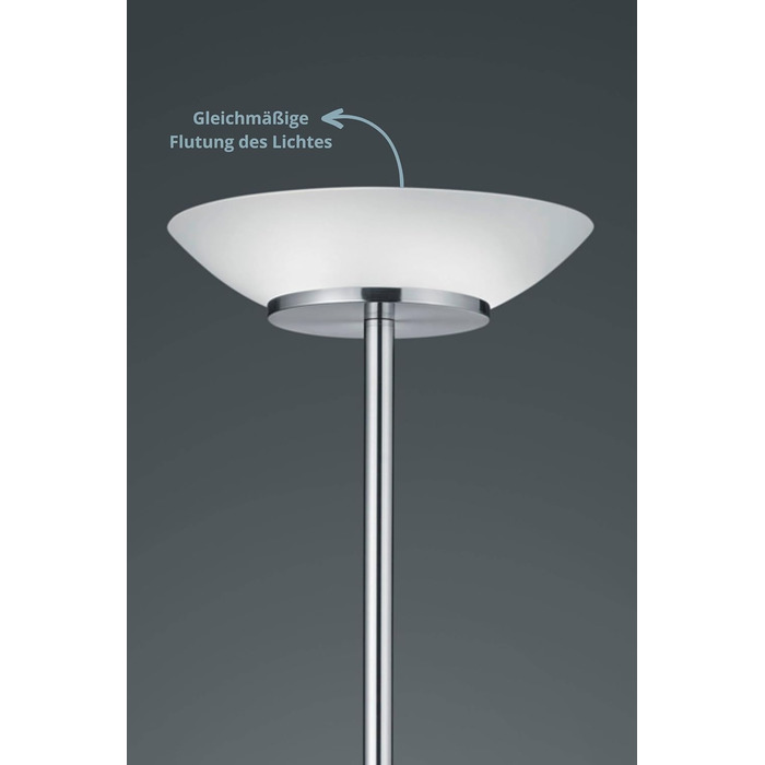 Торшер Lightling Klaus з LED лампою для читання, матова латунь, метал, 180 см, рухома лампа для читання E14, основне освітлення 2xE27, без ламп