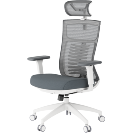 Крісло офісне OfficePro Balance OC550-W-DG-DG