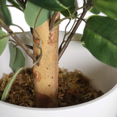 Штучна рослина / штучне дерево FICUS II 65 см зелений hjh ОФІС