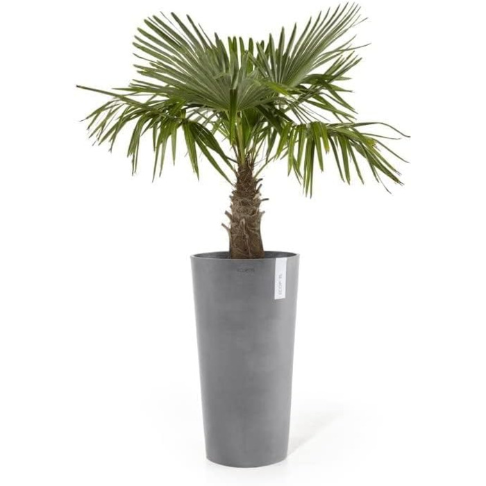Квітчар Ecopots: великий квітчар для квітів, сірий, 49.8 x 49.8 x 91 см