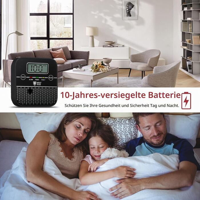 Детектор чадного газу WOLF SHIELD Mini-CO з LCD-дисплеєм та батареєю на 10 років, портативний датчик CO для дому, чорний