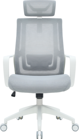 Крісло офісне OfficePro Harmony OC310-W-LG-LG