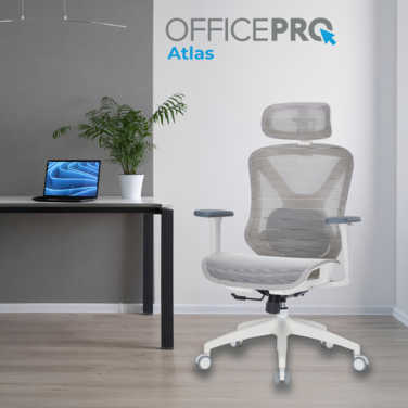Крісло офісне Officepro Atlas OC630-W-LG-LG
