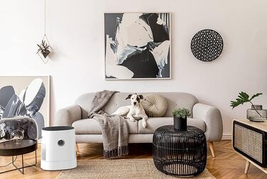 Зволожувач повітря BONECO W220, 6 л, для кімнат до 50 м², дуже тихий <35 дБ, 2 режими, авто-вимкнення, верхнє наповнення, білий