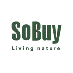 SoBuy
