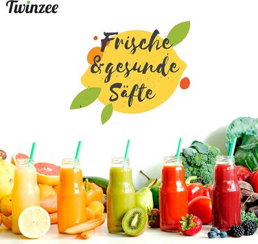 Twinzee електрична соковижималка для овочів і фруктів, 850 Вт, 2 швидкості, великий завантажувальний отвір, антиковзкі ніжки, преміум-якість для здорового харчування