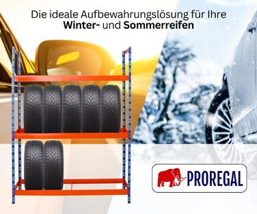 Стелаж для шин PROREGAL Tiger XL: 200x180x45 см, 300 кг навантаження, до 21 шини (205/55 R16), блакитно-помаранчевий, для майстерні, складу, підвалу