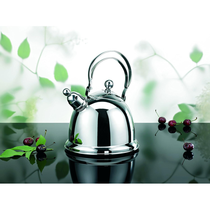 Свистляк-чайник Schulte-Ufer Grace 68042-16 зі сталі нержавіючої, 2.2 л, сріблястий