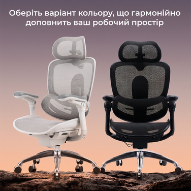Крісло офісне Sihoo C300 PRO V2 Black