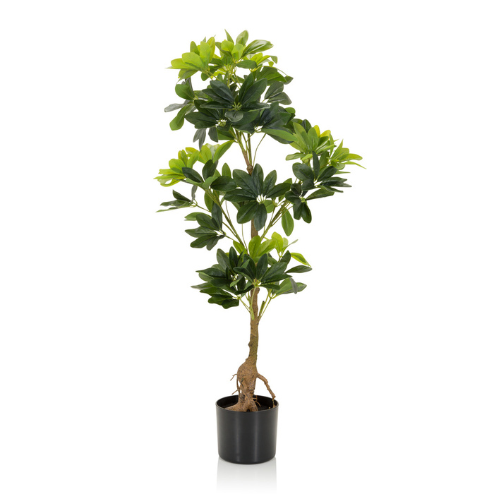 Штучна рослина / Штучне дерево SCHEFFLERA Radiant Aralia 90 см Пластик зелений hjh ОФІС
