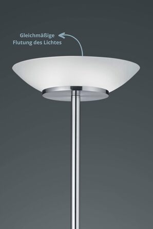 Торшер Lightling Klaus з LED лампою для читання, матова латунь, метал, 180 см, рухома лампа для читання E14, основне освітлення 2xE27, без ламп