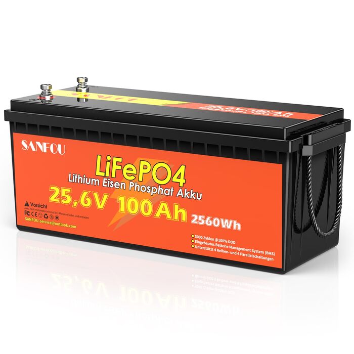 LiFePO4 акумулятор 12V 200Ah (2560Wh) з BMS 100A, літієва батарея Deep Cycle для кемпінгу та будинків на колесах, підтримка 4S4P