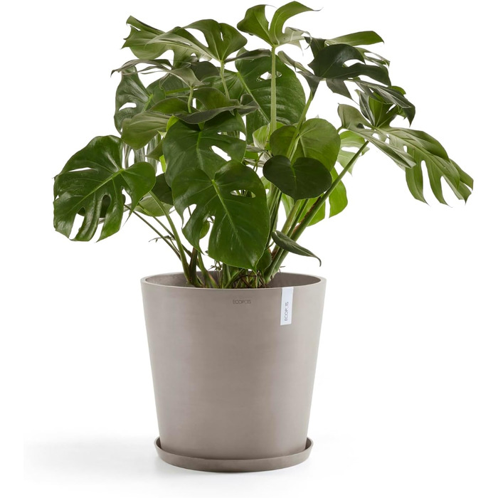 Еко-горщик Ecopots Gross Taupe: великий квітковий горщик 50x50x44.3 см