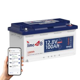 LiFePO4 акумулятор Timeusb Pro 12V 100Ah (640Wh) з BMS 50A та Bluetooth, літієва батарея H190