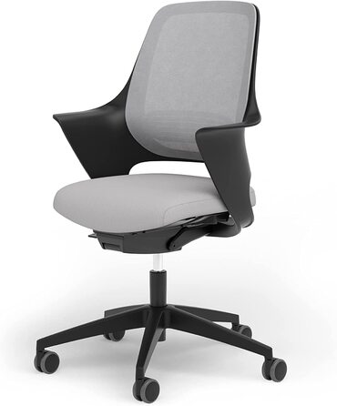 Ergotopia WellBack: Ергономічне крісло для офісу та дому, Made in Germany, з підтримкою попереку та синхромеханікою, білий каркас, сірий колір