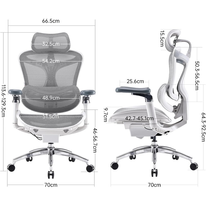 Ергономічне офісне крісло SIHOO Doro C300 Pro white з підлокітниками 6D та підтримкою попереку