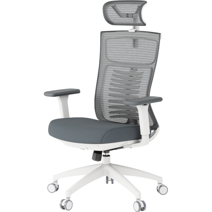 Крісло офісне OfficePro Balance OC550-W-DG-DG