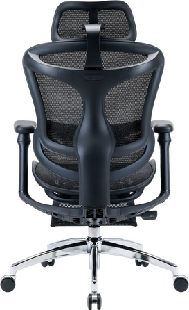 Крісло офісне з підставкою для ніг Sihoo DORO C300L Mesh Black with footrest