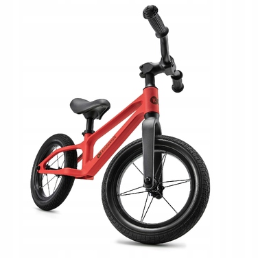 Беговел Kinderkraft ETER 12