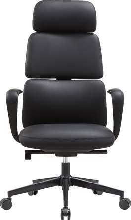 Крісло офісне OfficePro Delicate OC690BK Black PVC