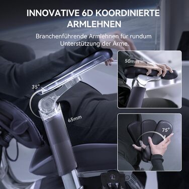 Ергономічне офісне крісло SIHOO Doro S300 black