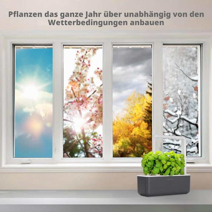 Click and Grow Growbox Smart Garden: Інтелектуальний сад для вирощування зелені вдома (3 капсули, темно-сірий)