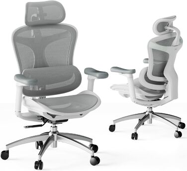 Офісне крісло SIHOO Doro C300 white