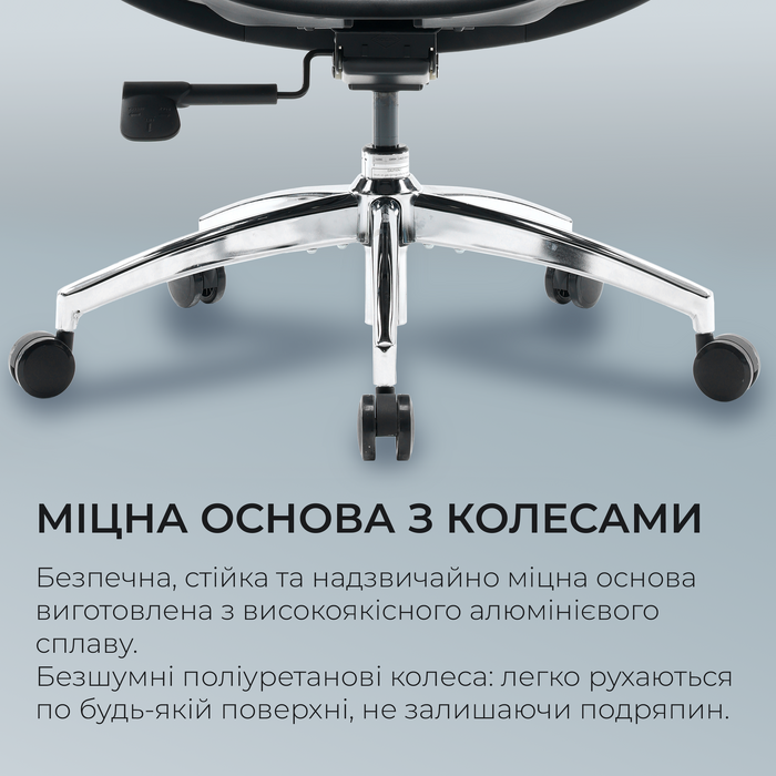 Крісло офісне Sihoo DORO S100 Mesh Black