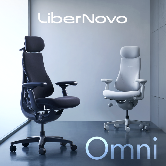 Крісло офісне ергономічне LiberNovo Omni Space Gray 48 см