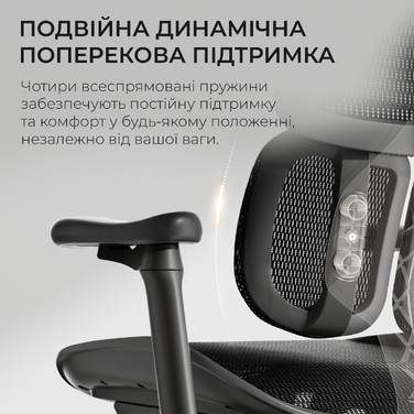 Крісло офісне Sihoo DORO S100 Mesh Black