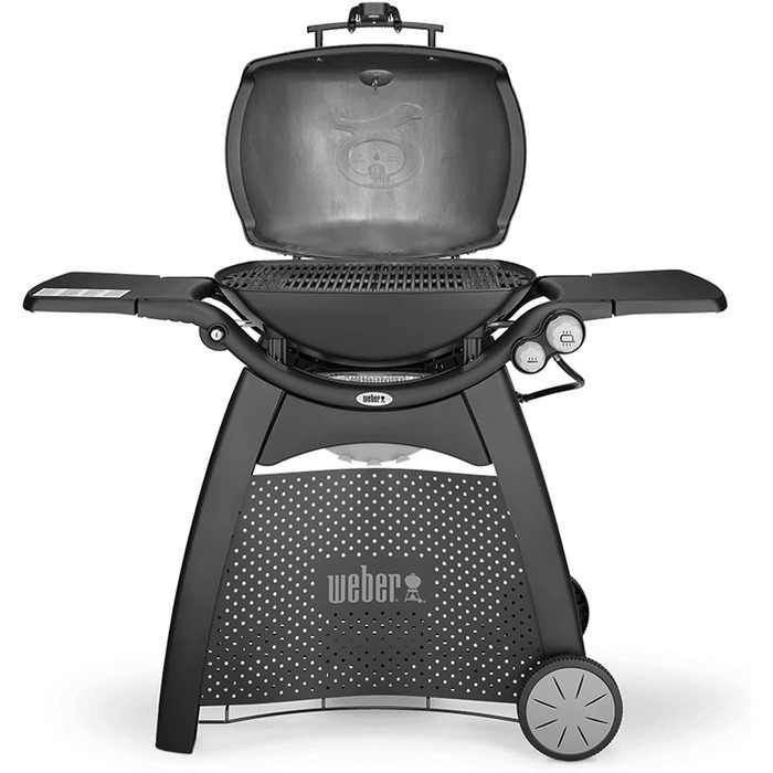 Чавунна решітка Onlyfire для газового гриля Weber Q300, Q320, Q3000, Q3100, Q3200, заміна Weber 7646, набір 2 шт.