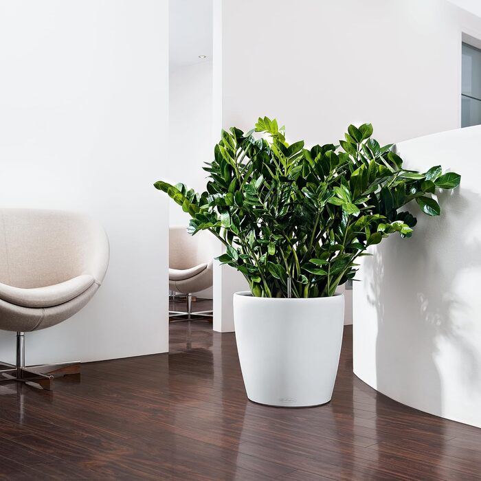 Горщик для квітів LECHUZA CLASSICO Color 35 білий 13210, 36x36x32.5 см