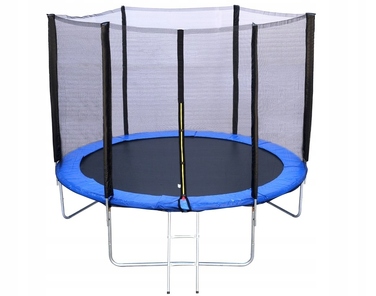 Садовий батут R-Sport 6FT (183 см) із захисною сіткою та драбиною